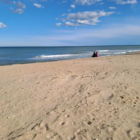 Bonito Cerca Del Mar *